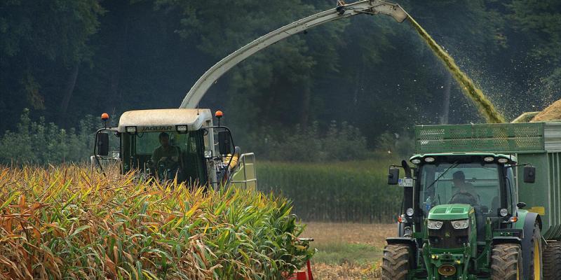 Predstavljamo vam deset najvećih proizvodjača kukuruza u svijetu