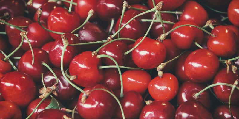 Kako spriječiti pucanje plodova trešnje? 