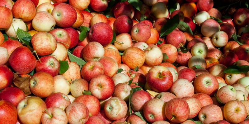Glavni razlozi voskiranja jabuka