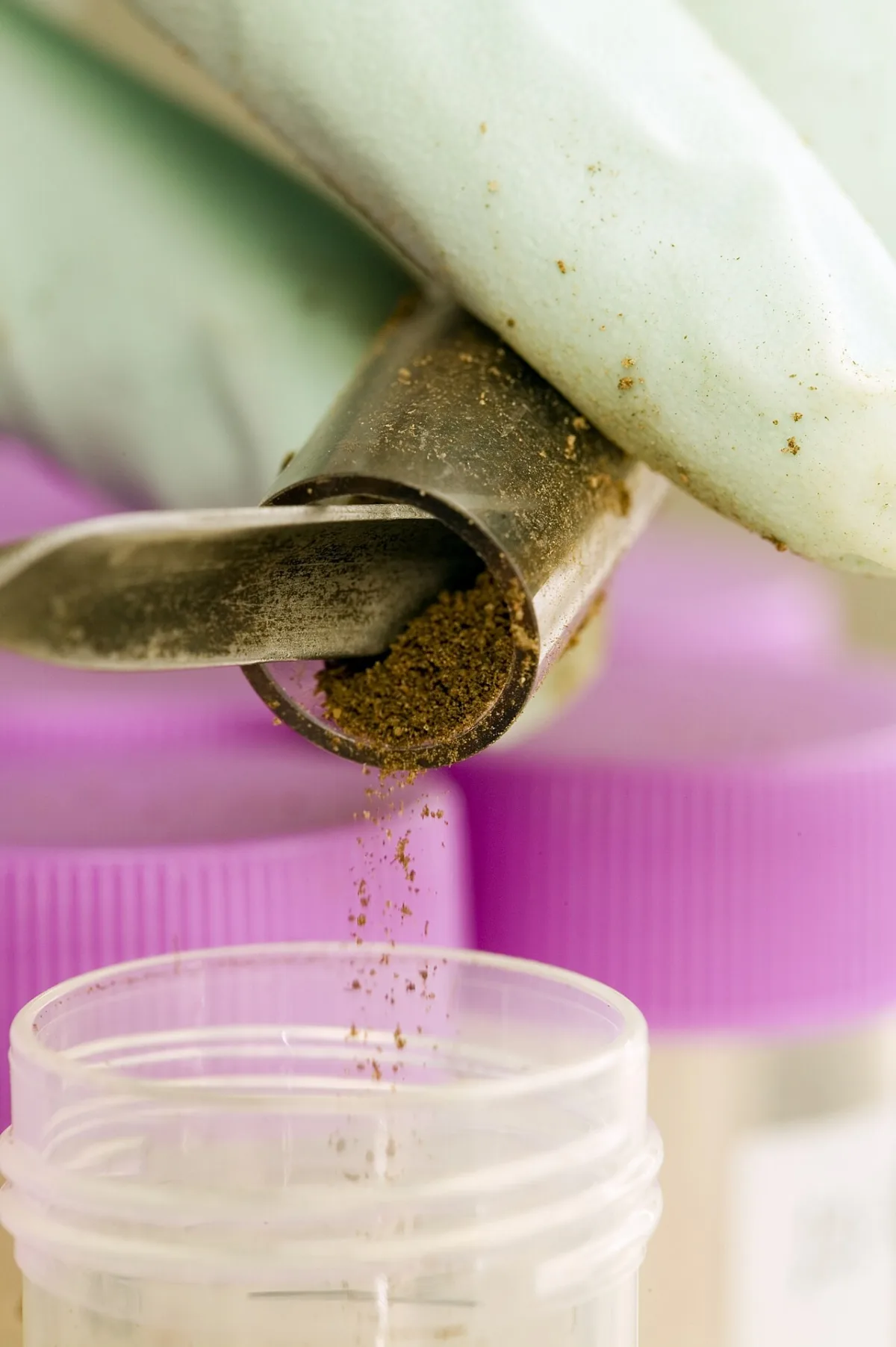 Classification and chemical structure of oligosaccharides in plant organisms