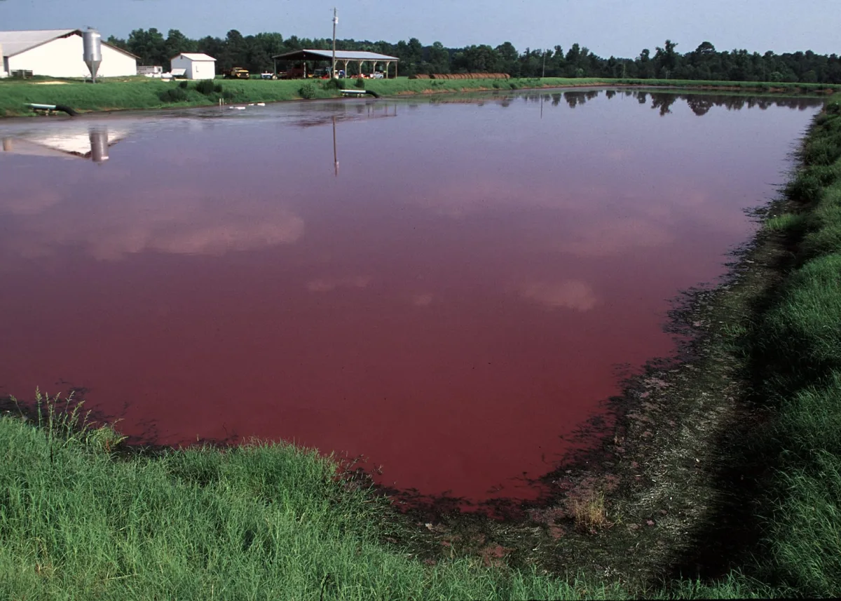 Classification of the main sources of anthropogenic pollution of natural water bodies