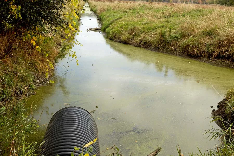 The use of wastewater as organic fertilizer in agronomy
