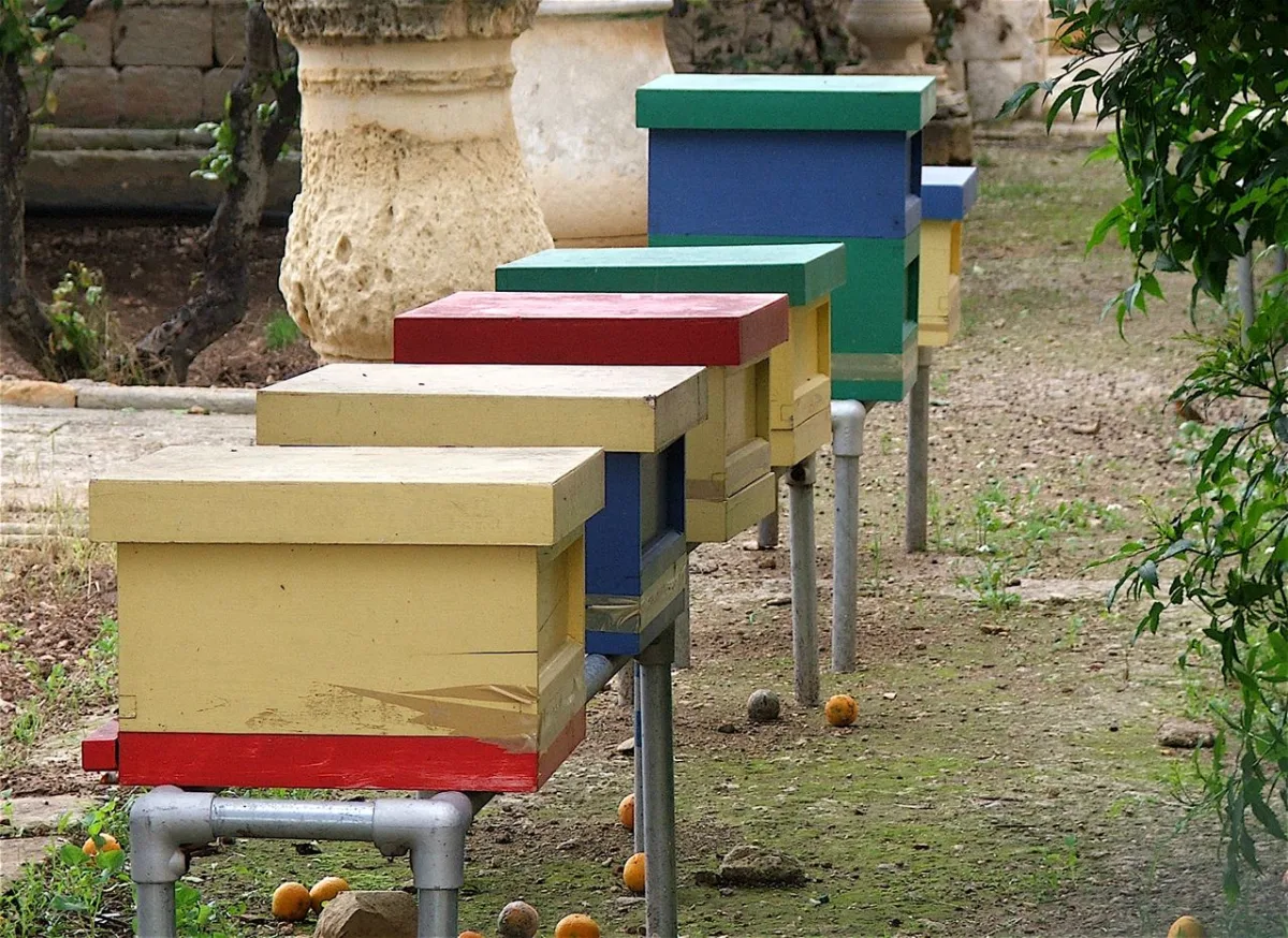 Specifics of cucumber and tomato pollination by bees in greenhouse operations
