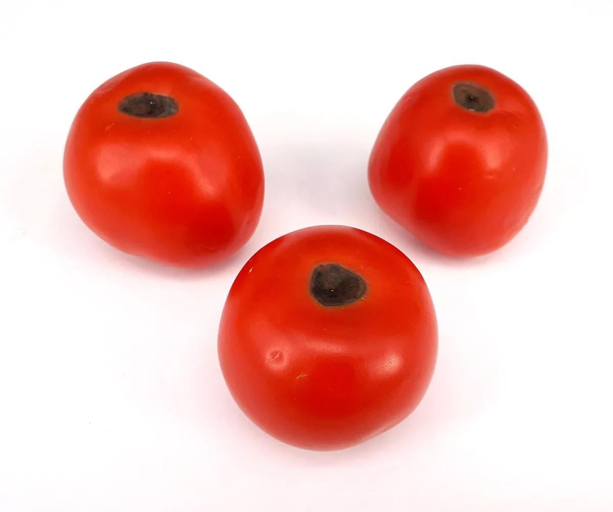Combating blossom-end rot and agrotechnical methods of plant protection for tomatoes