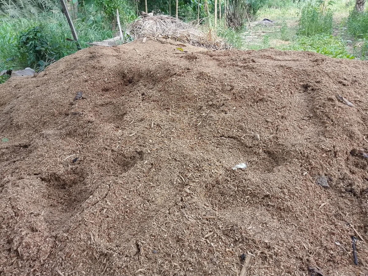 Application of organic fertilizers in greenhouses and open soil
