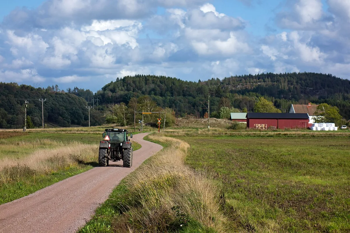Specifics of labour organization and human resources management in agriculture