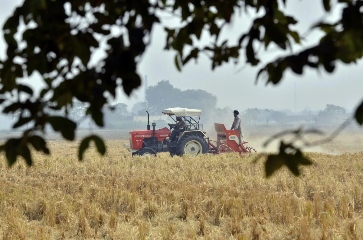 The role and natural foundations of crop production development in Belarus