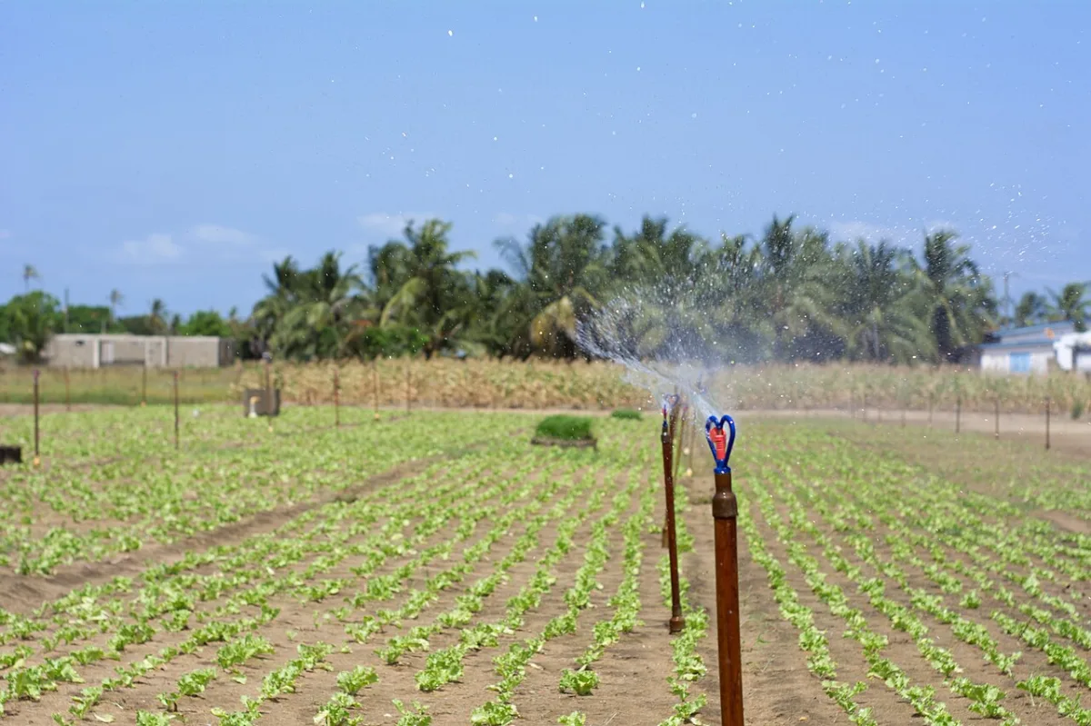 Methods for planning and operational management of crop irrigation regimes