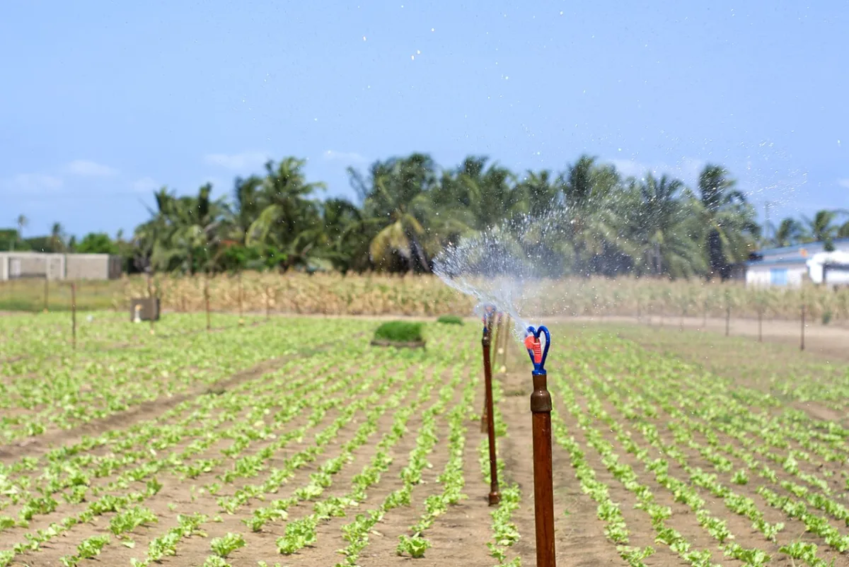 Operational planning and management of irrigation regimes for crops