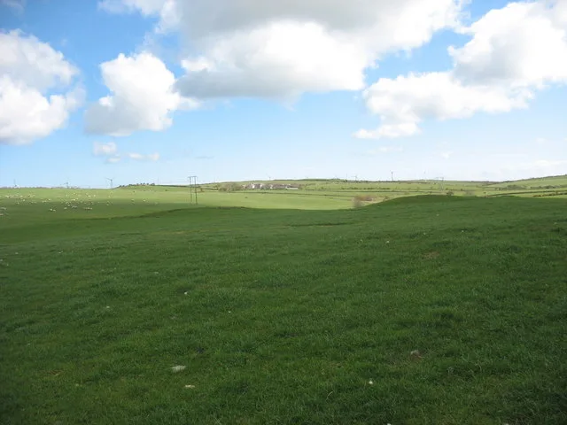 The influence of fertilizers on the carbohydrate composition and nutritional value of forage crops