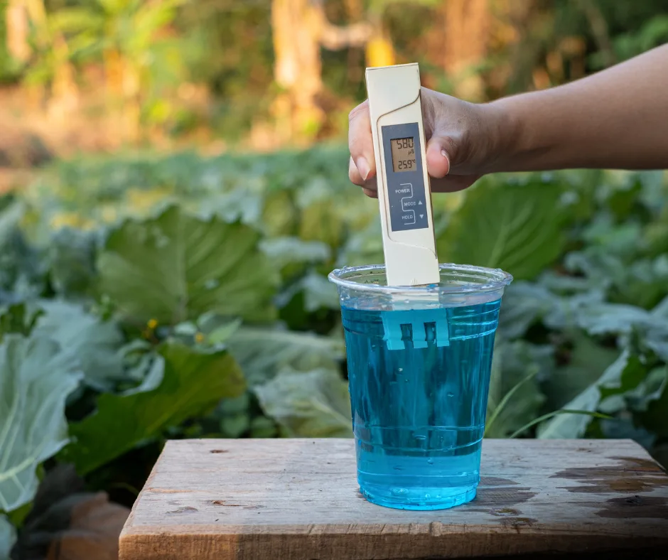 Water culture method in modern agrochemical studies of plant nutrition