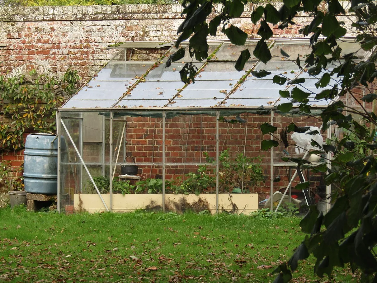 Rules for installing polycarbonate on a greenhouse and choosing a location for its placement