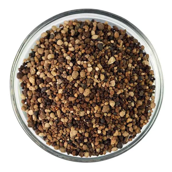Using sewage sludge as an organic fertilizer for fields