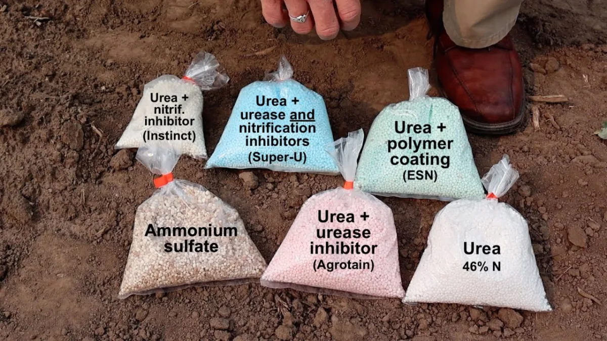 Application of nitrification inhibitors to increase the efficiency of nitrogen fertilizer