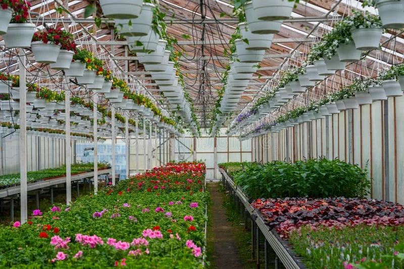Formulation and preparation of nutrient soil mixtures for flower crops