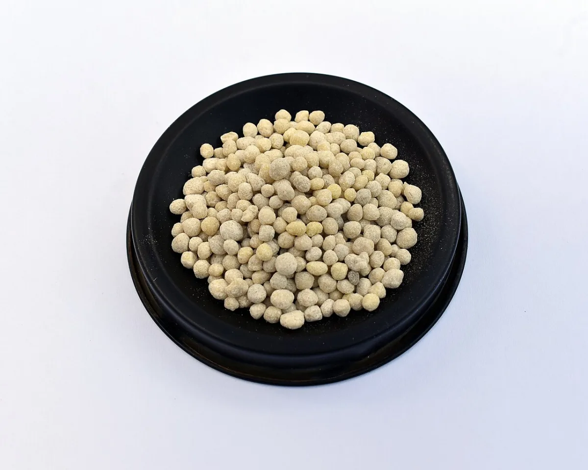 The effect of phosphorus fertilizer on soil properties and water bodies
