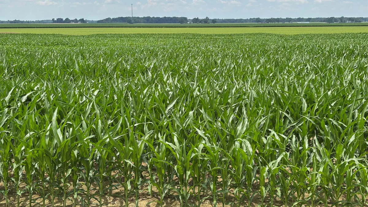 Fertilizer application systems in the main soil-climatic zones of Russia