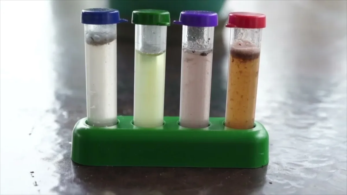 Mechanisms of anion uptake by the soil adsorption complex and their characteristics