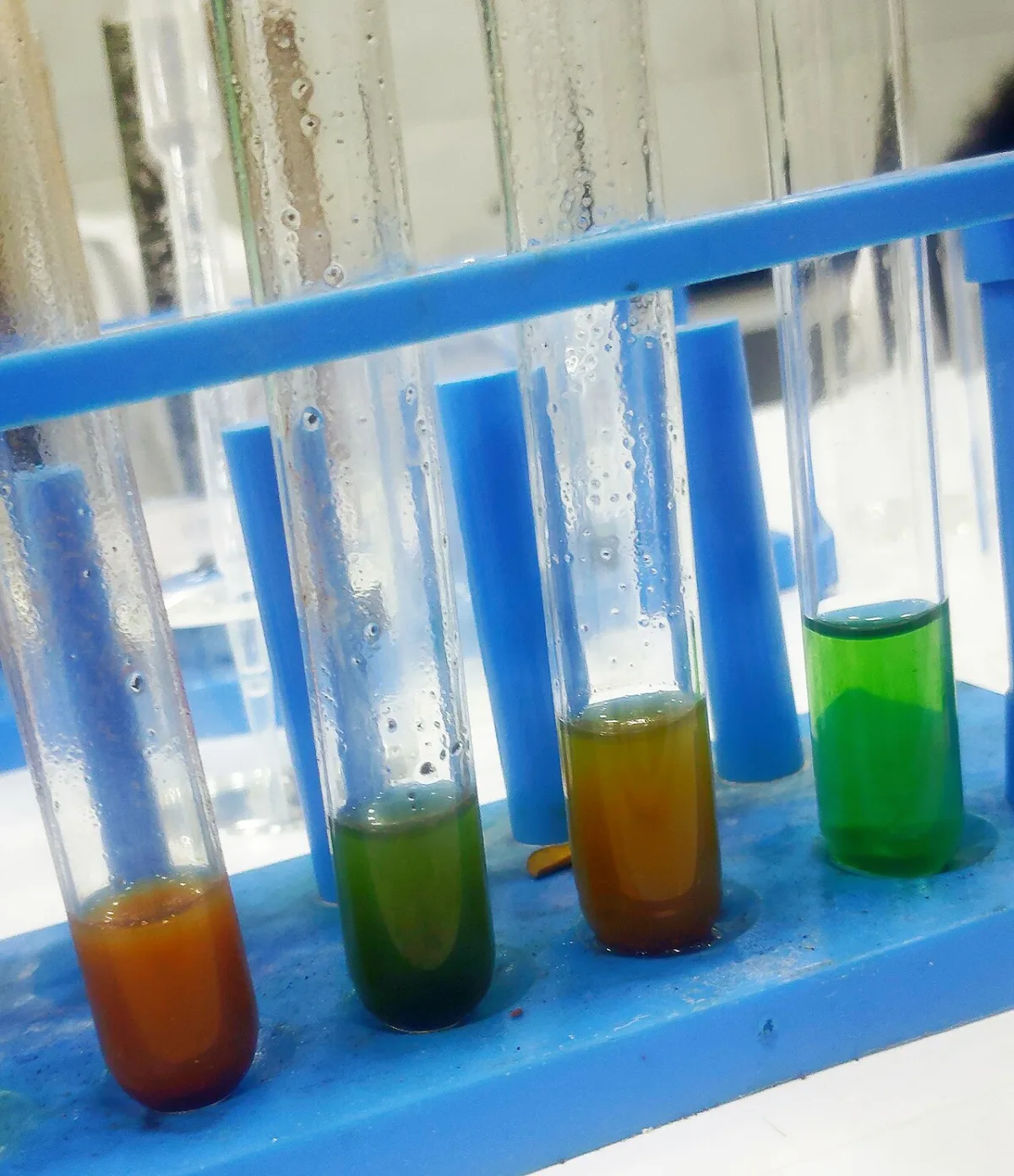 Organization and methodology of conducting agrochemical field experiments