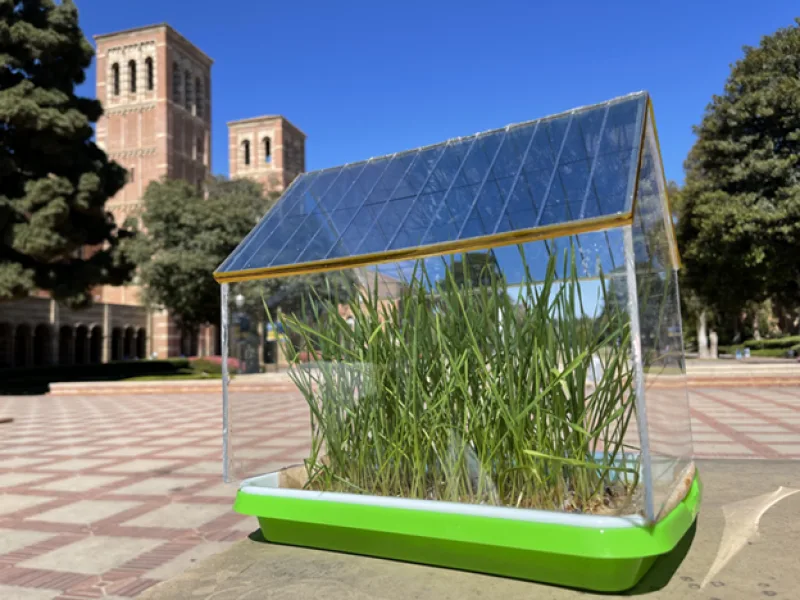 The effect of light and temperature conditions on the microclimate of greenhouses