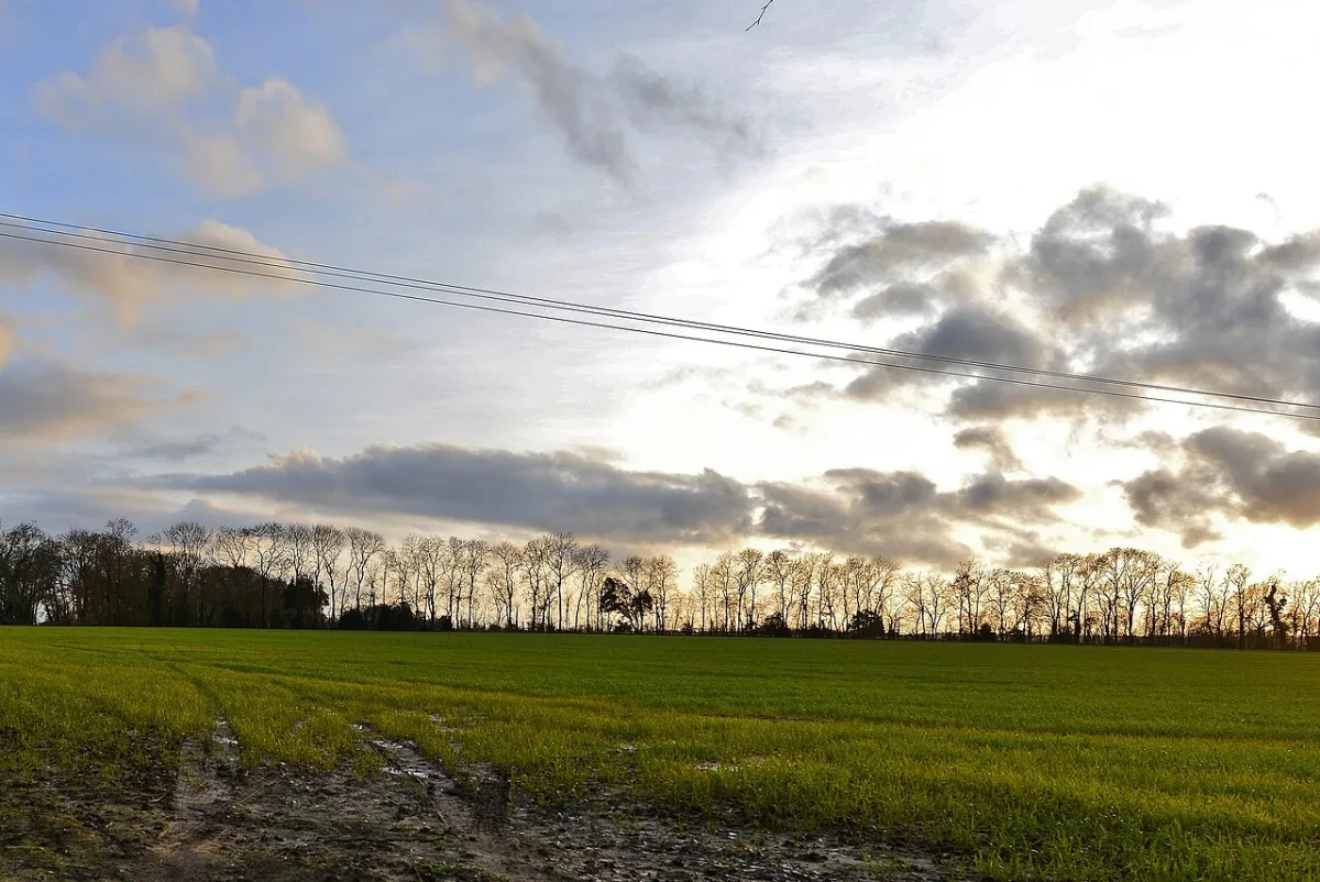 Specific features of primary tillage for spring crops in the Kuban region