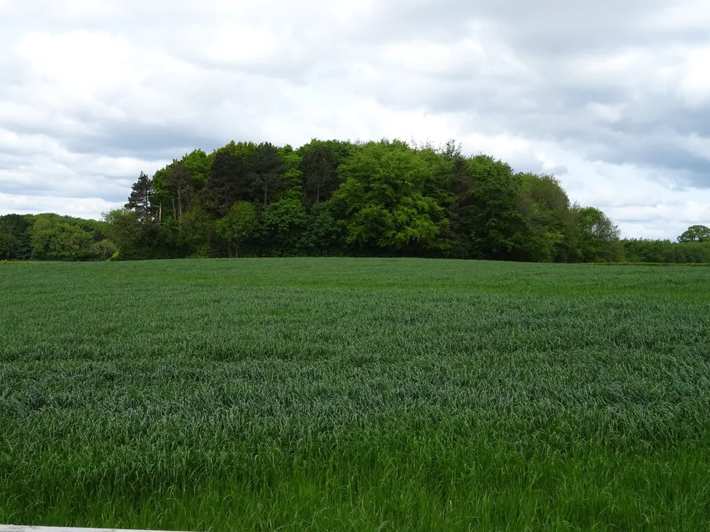 The role and deficiency of sulfur in the mineral nutrition of agricultural crops