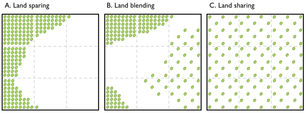 Strategies for increasing global food production and the potential of agricultural land