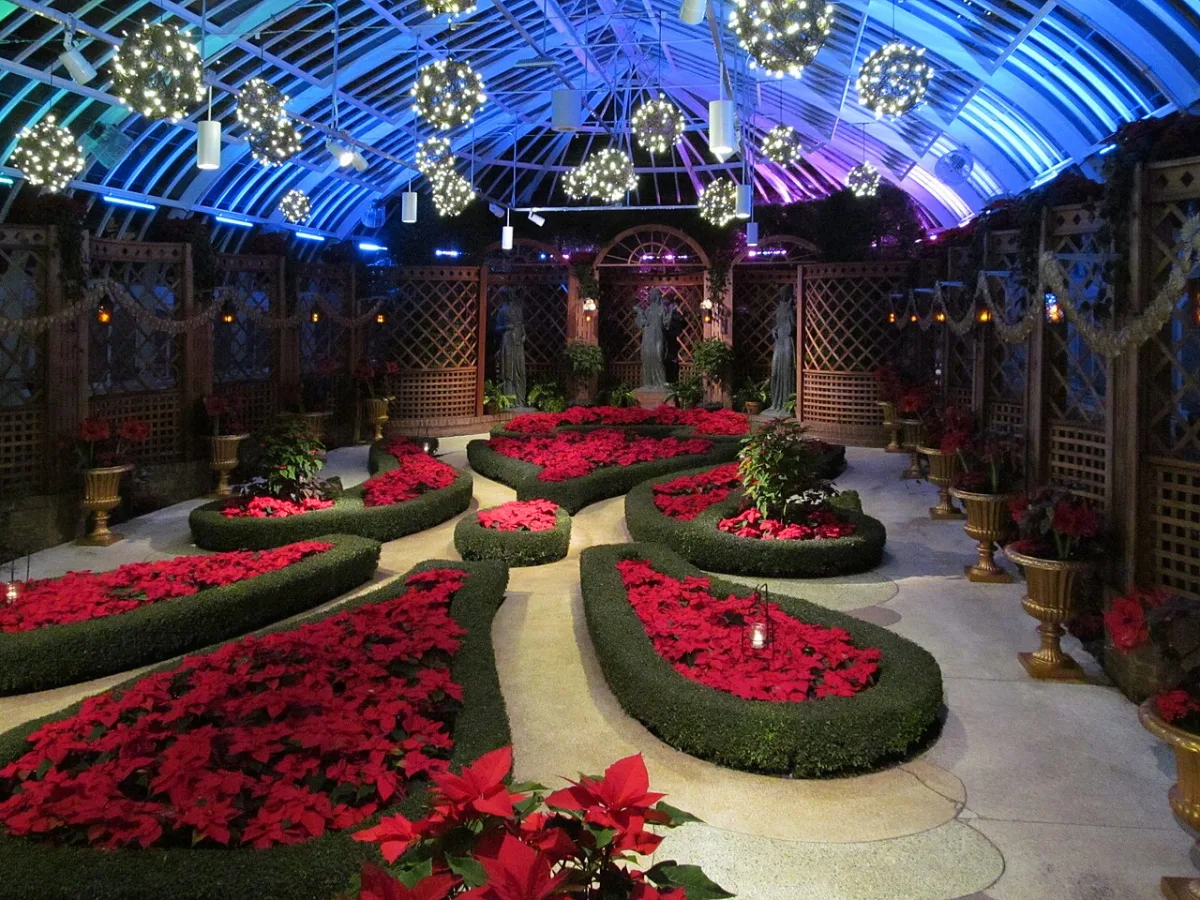 Design and structural features of modern winter gardens
