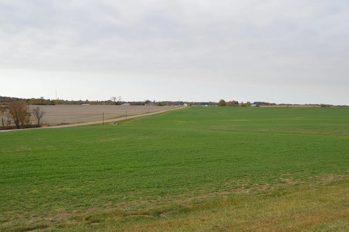 Technologies and principles of effective pre-sowing tillage for winter crops